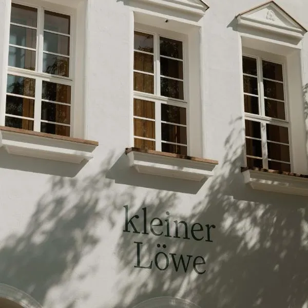 kleiner Löwe – Stadthotel Bregenz，位于布雷根茨的酒店