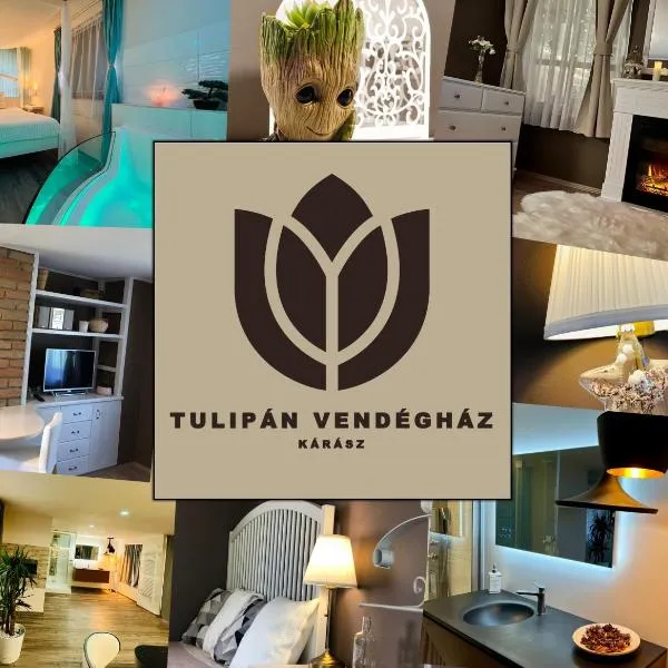 Tulipán Vendégház，位于Óbánya的酒店