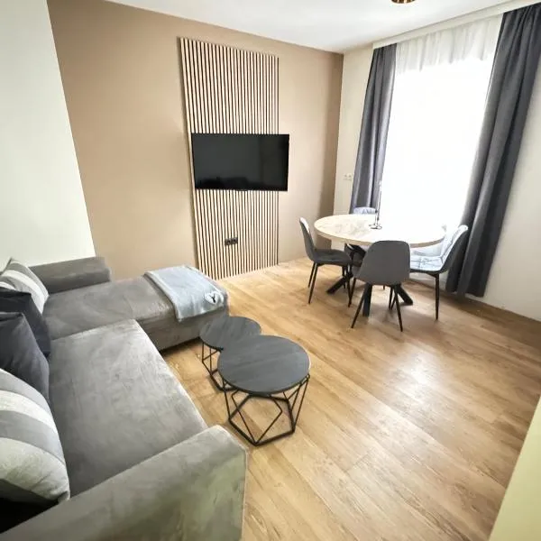Alpin Apartments am Dorfbrunnen Steinach，位于施泰纳赫布伦纳的酒店