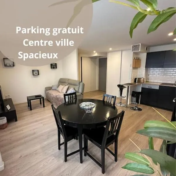 LE DOUILLET - Parking gratuit - Centre ville，位于Pau的酒店