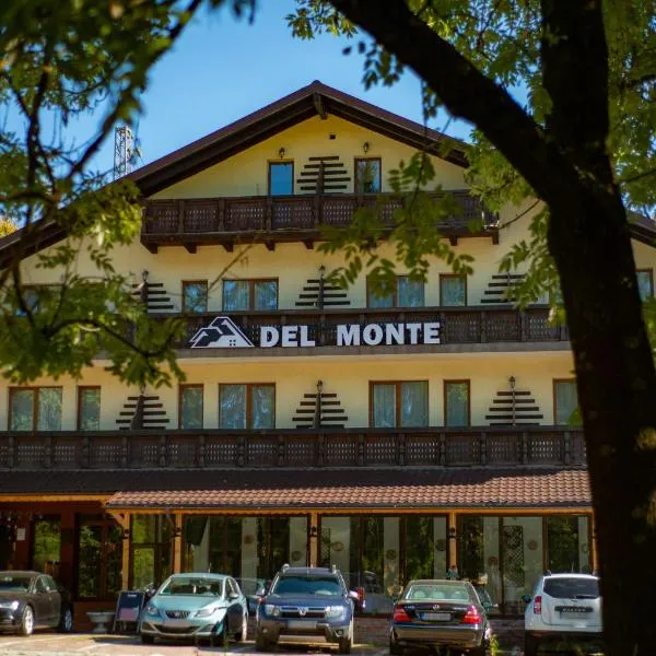 Del Monte Predeal，位于普雷代亚尔的酒店