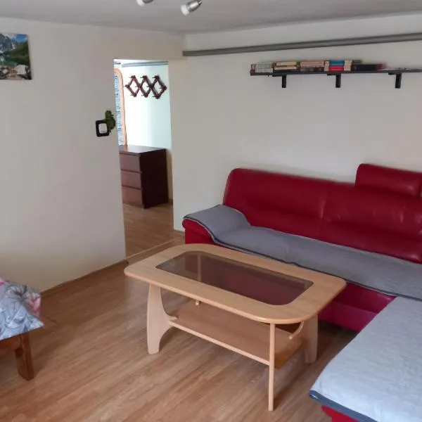 Apartament pod Rykowiskiem，位于科尔别卢夫的酒店