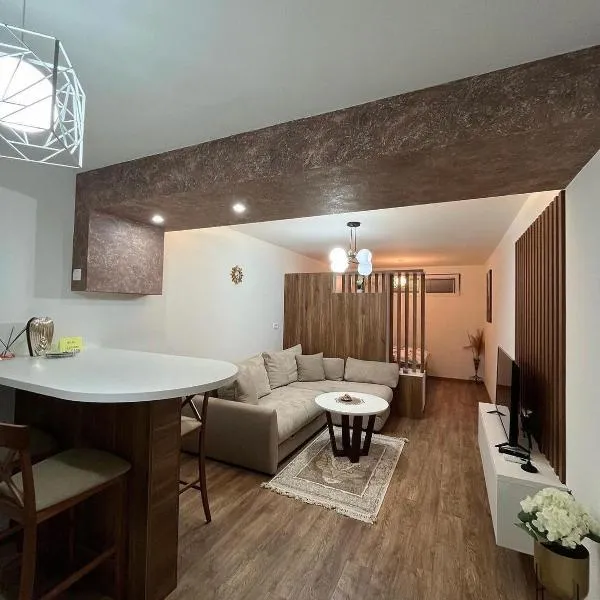 Apartmani Pejovic，位于尼克希奇的酒店
