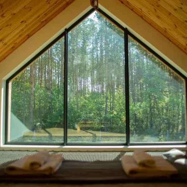 Lasownia Dom Dzięcioł，位于Wielęcin的酒店