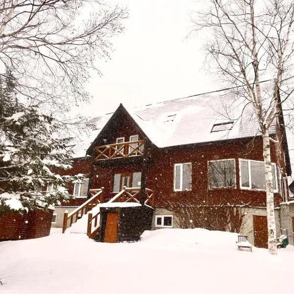 Wonder Lodge Niseko，位于二世古的酒店