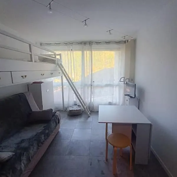 Studio Villard-de-Lans，位于维拉尔-德朗的酒店