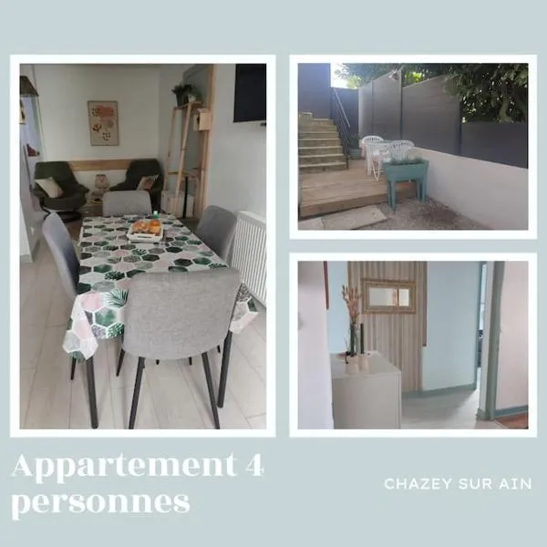 appartement cosy parking privé，位于Chazey-sur-Ain的酒店