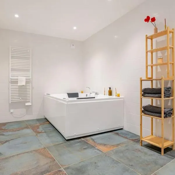 Duplex SPA & Détente en Hyper-Centre avec Parking Privé，位于帕雷·勒·毛尼尔的酒店