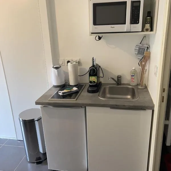 Jolie Studio，位于Gare des Brotteaux的酒店