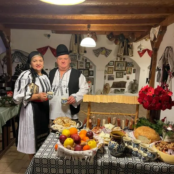 Pensiunea Domnescu，位于瑟利什泰的酒店