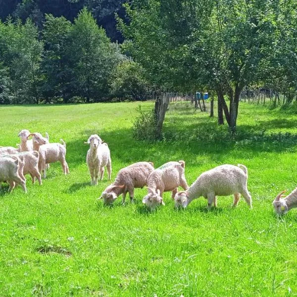 Au mohair des Alpy，位于科穆斯的酒店