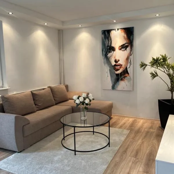 Ruby Modern Central Apartment，位于斯科普里的酒店