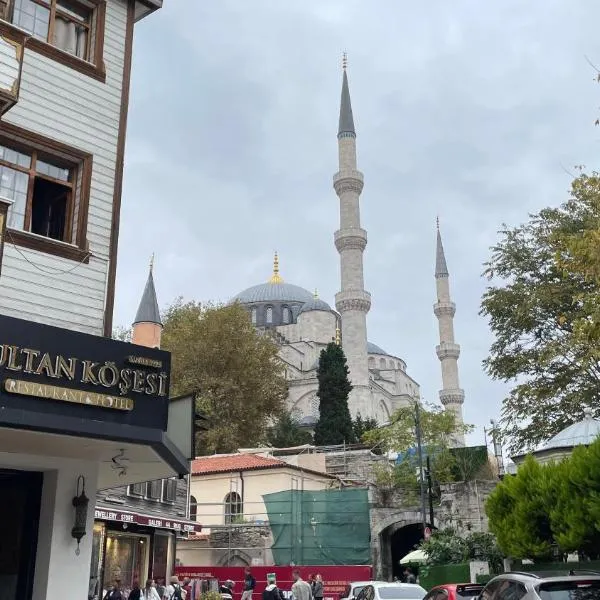 Sultan Corner Hotel，位于伊斯坦布尔的酒店