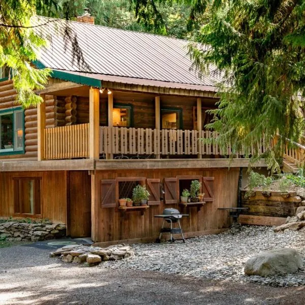 Private Forest Lodge Near Silverwood Theme Park - Sleeps 10，位于Spirit Lake的酒店