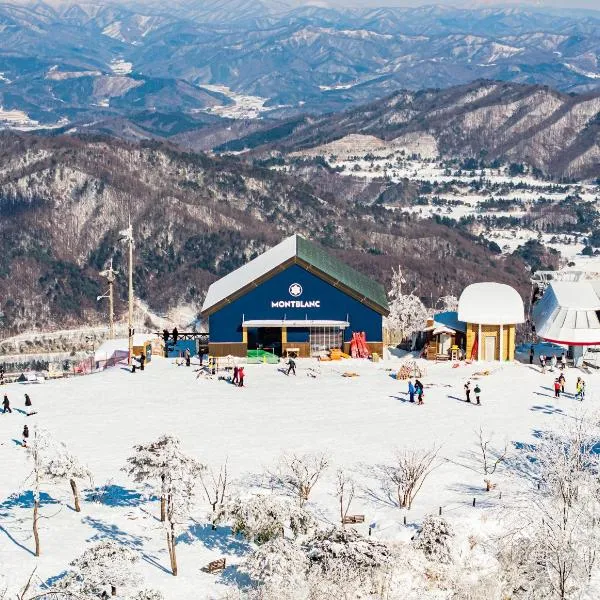 Phoenix Hotel Pyeongchang，位于蓬坪面的酒店