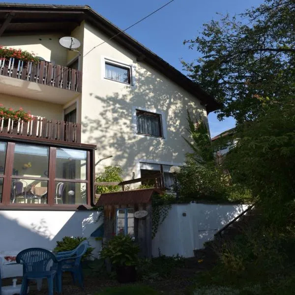 Gästehaus am Schlossberg，位于Friedenfels的酒店