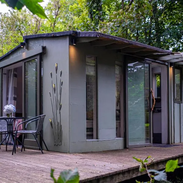 The Cwtch - Woodland cabin with country views!，位于伯格里的酒店