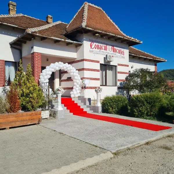 Conacul Ancuței，位于Brad的酒店
