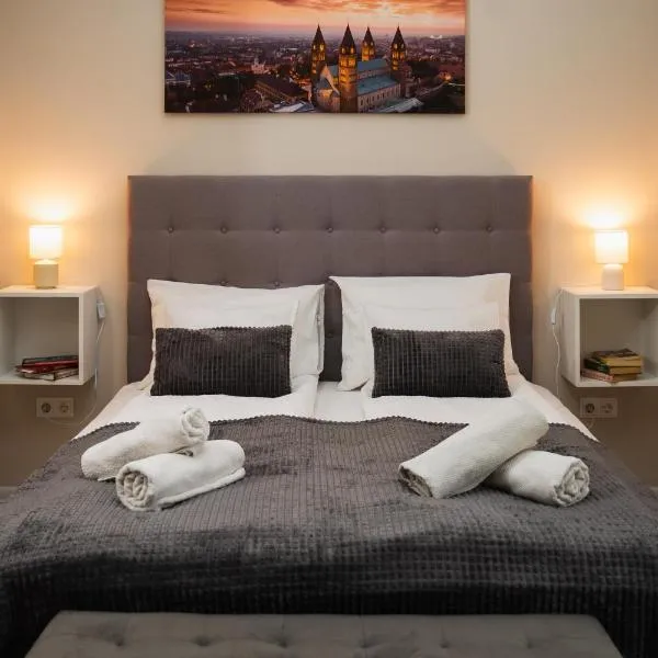 H30 Apartman，位于佩奇的酒店