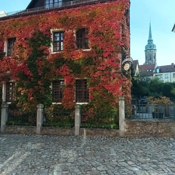 Altstadthotel Schloss Schänke garni，位于包岑的酒店