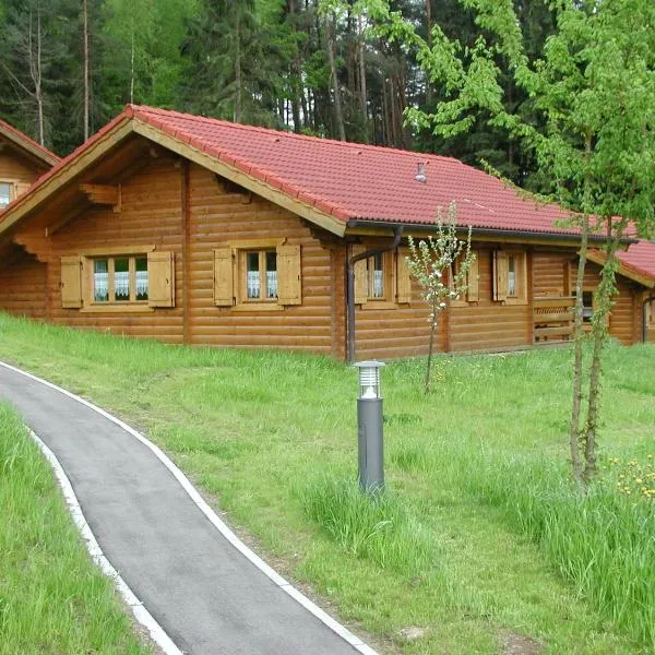 Blockhaus Bayerischer Wald，位于Stamsried的酒店