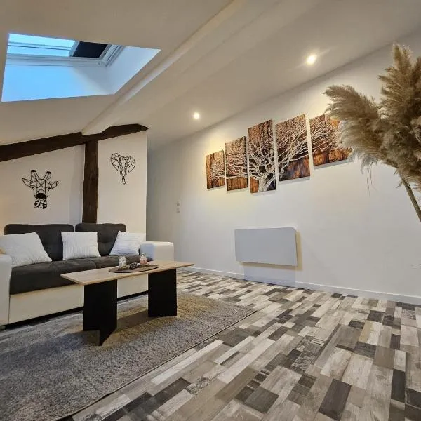 Joli appartement mansardé，位于德西兹的酒店