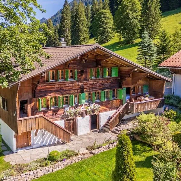 Chalet Ananda, Lauenen bei Gstaad，位于Lauenen的酒店