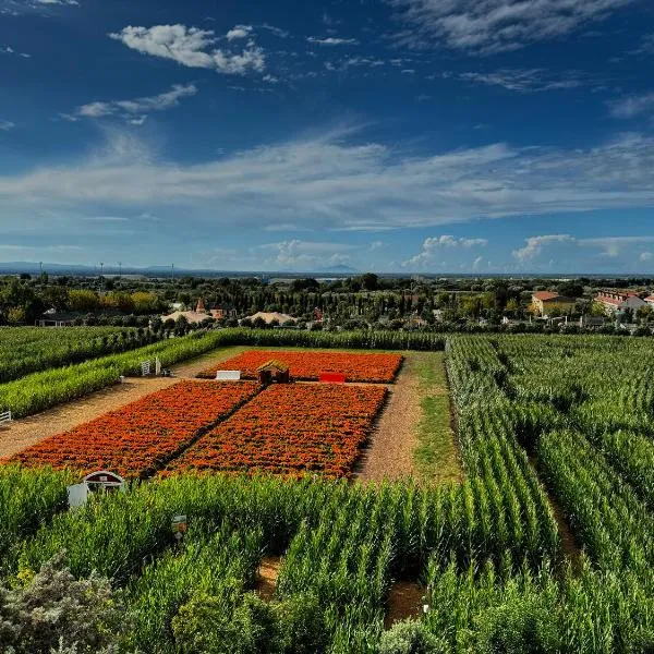 Appartamento La Rondine，位于Pignataro Maggiore的酒店