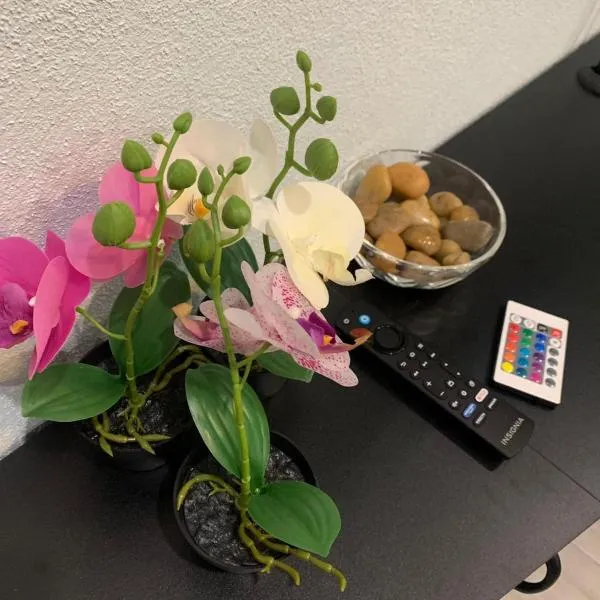 Sunset Serenity，位于拿骚的酒店