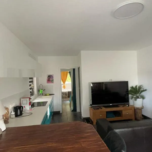 Appartement en lisière de forêt，位于Wingen-sur-Moder的酒店