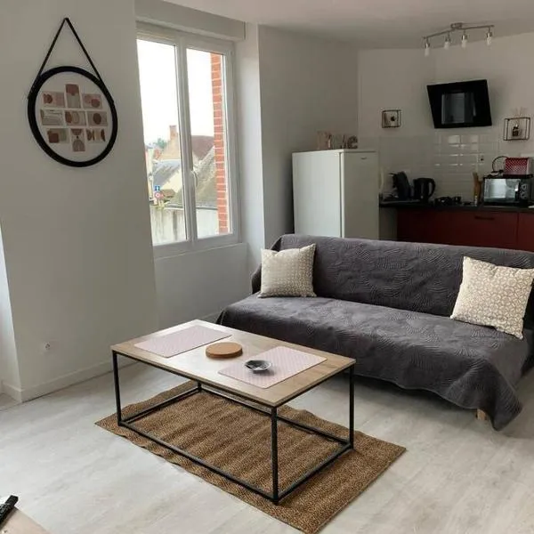 Appartement avec cour，位于Saint-Brisson-sur-Loire的酒店