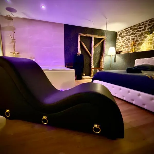 Love Room Plaisir Secret，位于里摩日的酒店