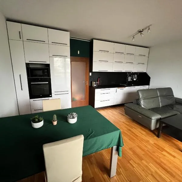 Mattioliho Apartment，位于布拉格的酒店