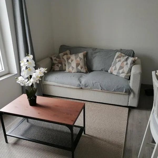 Appartement 1，位于L'Ile-Bouchard的酒店