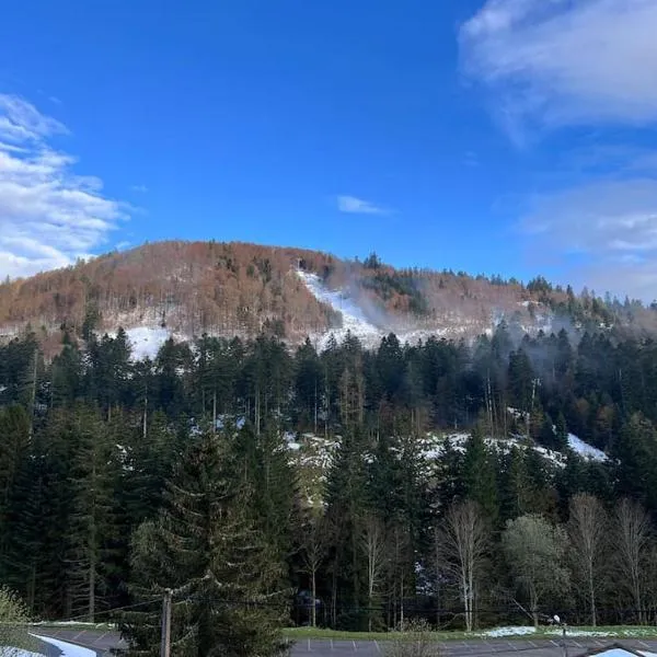 Le Balcon - La Bresse，位于拉布雷斯的酒店