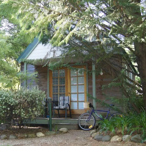 卢米内克斯小木屋别墅，位于Tawonga的酒店