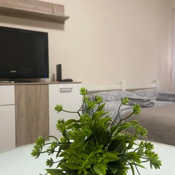 Apartman Lea，位于帕拉钦的酒店