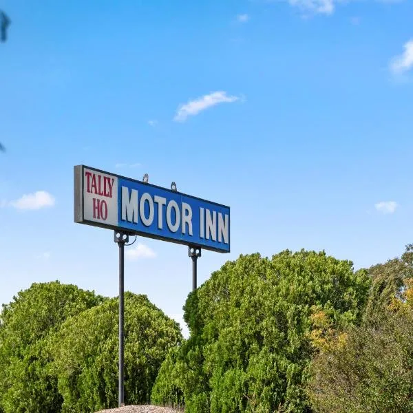 Tally Ho Motor Inn，位于滕特菲尔德的酒店