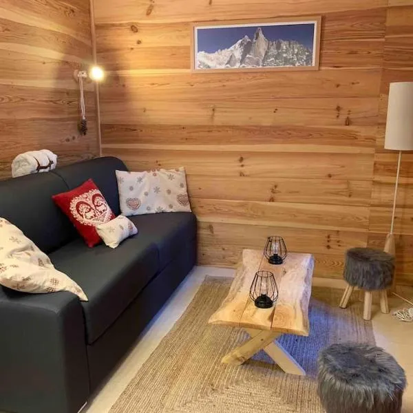 Appartement cosy hyper-centre Cauterets，位于科特雷的酒店