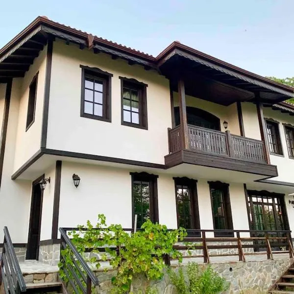 Large Cosy House by a Forest - Treehouse, BBQ, Fireplace & Mountain，位于索波特的酒店