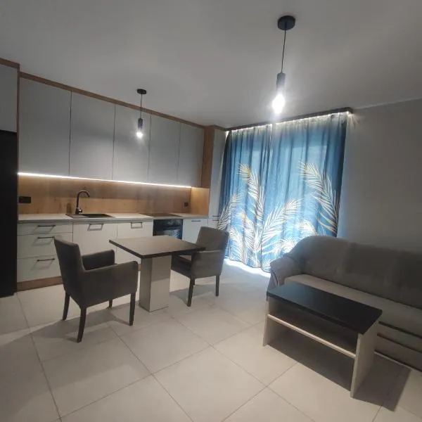 Apartament S，位于Ciechanów的酒店