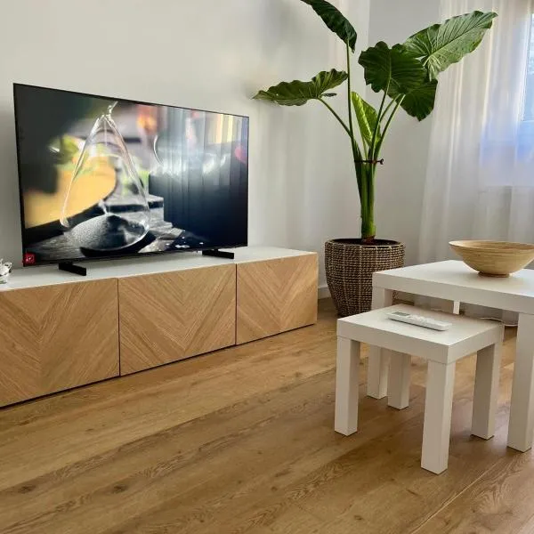 Central Studio，位于梅迪亚什的酒店