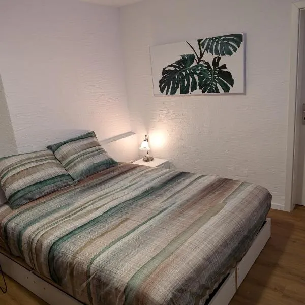 Privatzimmer in Buttisholz - Luzern，位于Buttisholz的酒店