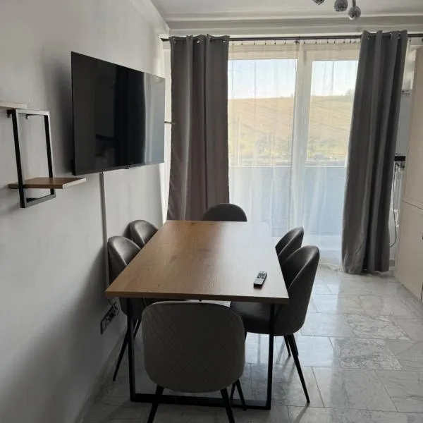 Sabo Apartment，位于克卢日-纳波卡的酒店