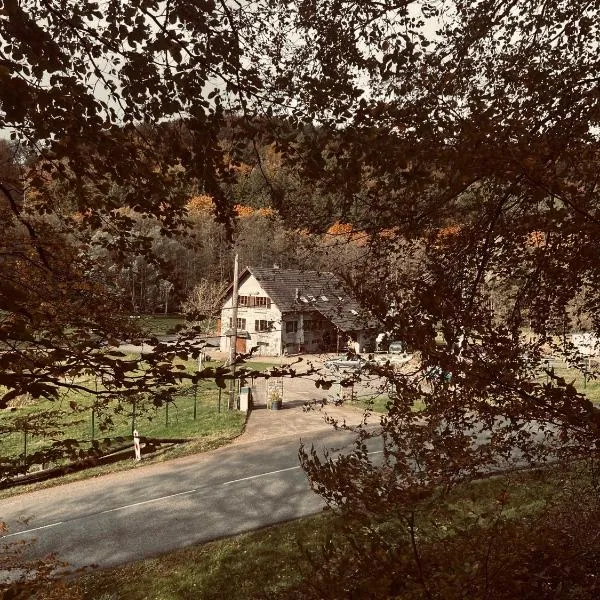 Maison d'hôtes, gîte en pleine nature avec chevaux，位于Drulingen的酒店