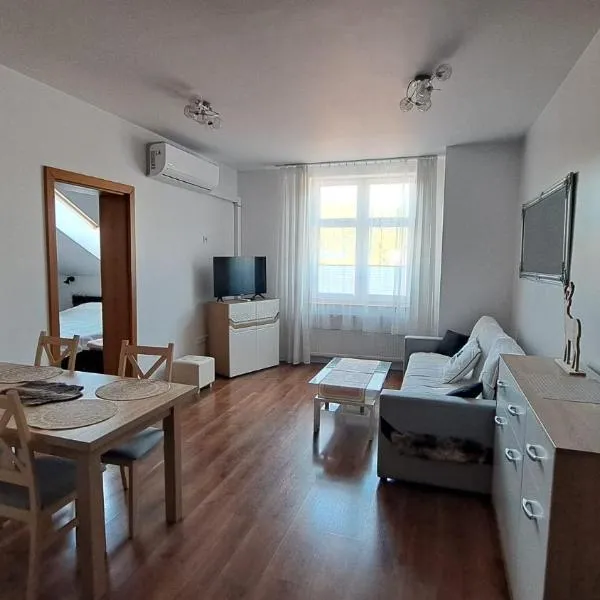 Apartament Popradzka Ostoja，位于Piwniczna-Zdroj的酒店