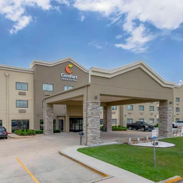 Comfort Inn & Suites Covington - Mandeville，位于Abita Springs的酒店