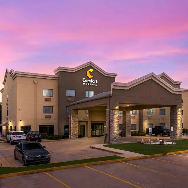 Comfort Inn & Suites Covington - Mandeville，位于卡温顿的酒店