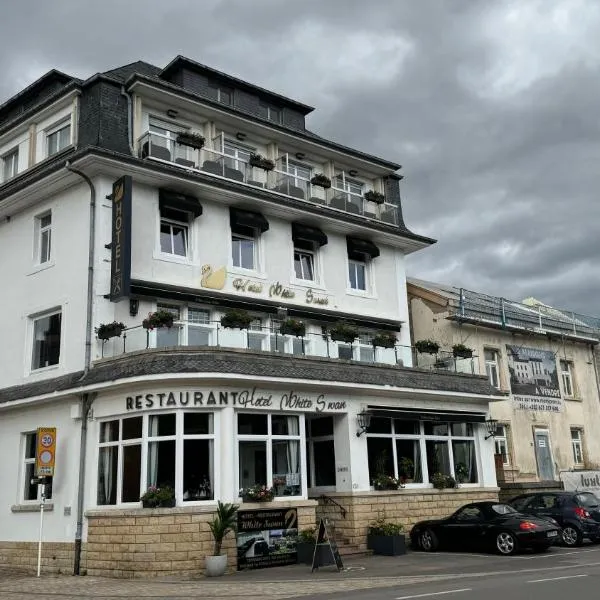 hotel whiteswan，位于埃讷安的酒店