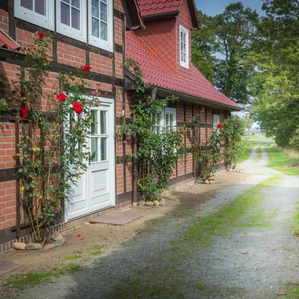 Landhaus Elbeflair bei Dömitz，位于Lenzen的酒店